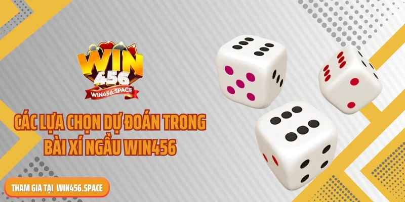 Các lựa chọn dự đoán trong bài xí ngầu WIN456