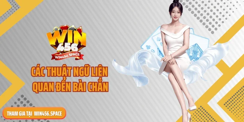 Các thuật ngữ liên quan đến bài chắn