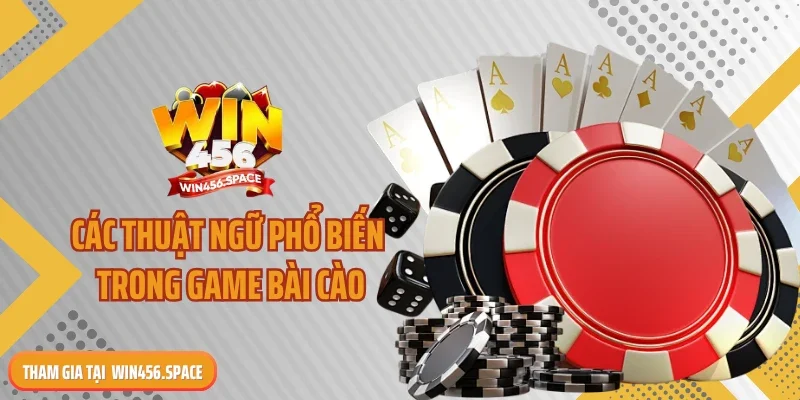 Các thuật ngữ phổ biến trong game bài cào