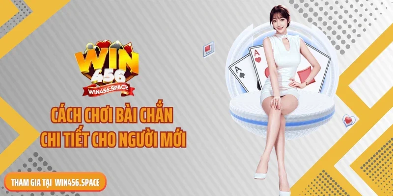 Cách chơi bài chắn chi tiết cho người mới