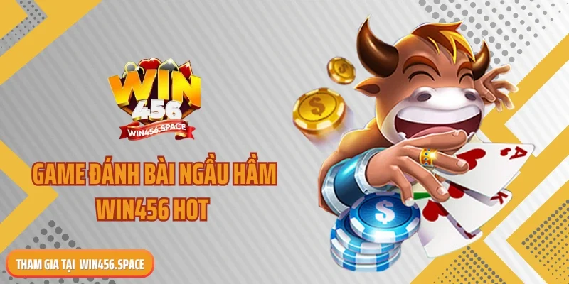 Game đánh bài ngầu hầm WIN456 hot