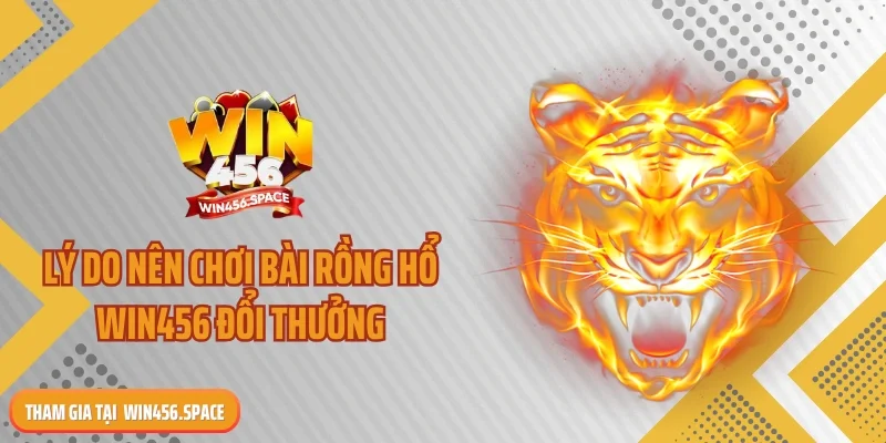 Lý do nên chơi bài rồng hổ WIN456 đổi thưởng