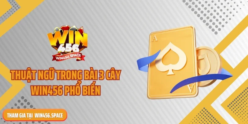 Thuật ngữ trong bài 3 cây WIN456 phổ biến