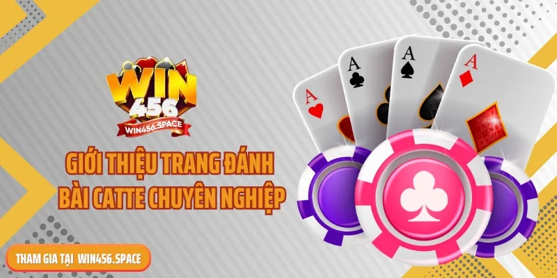 giới thiệu trang đánh bài catte chuyên nghiệp