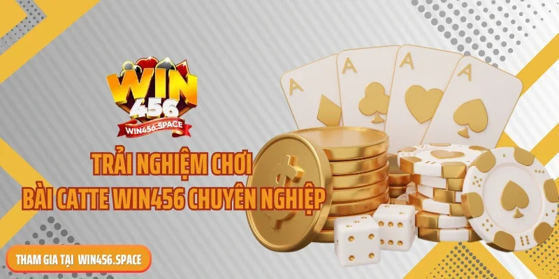Trải nghiệm chơi bài Catte WIN456 chuyên nghiệp